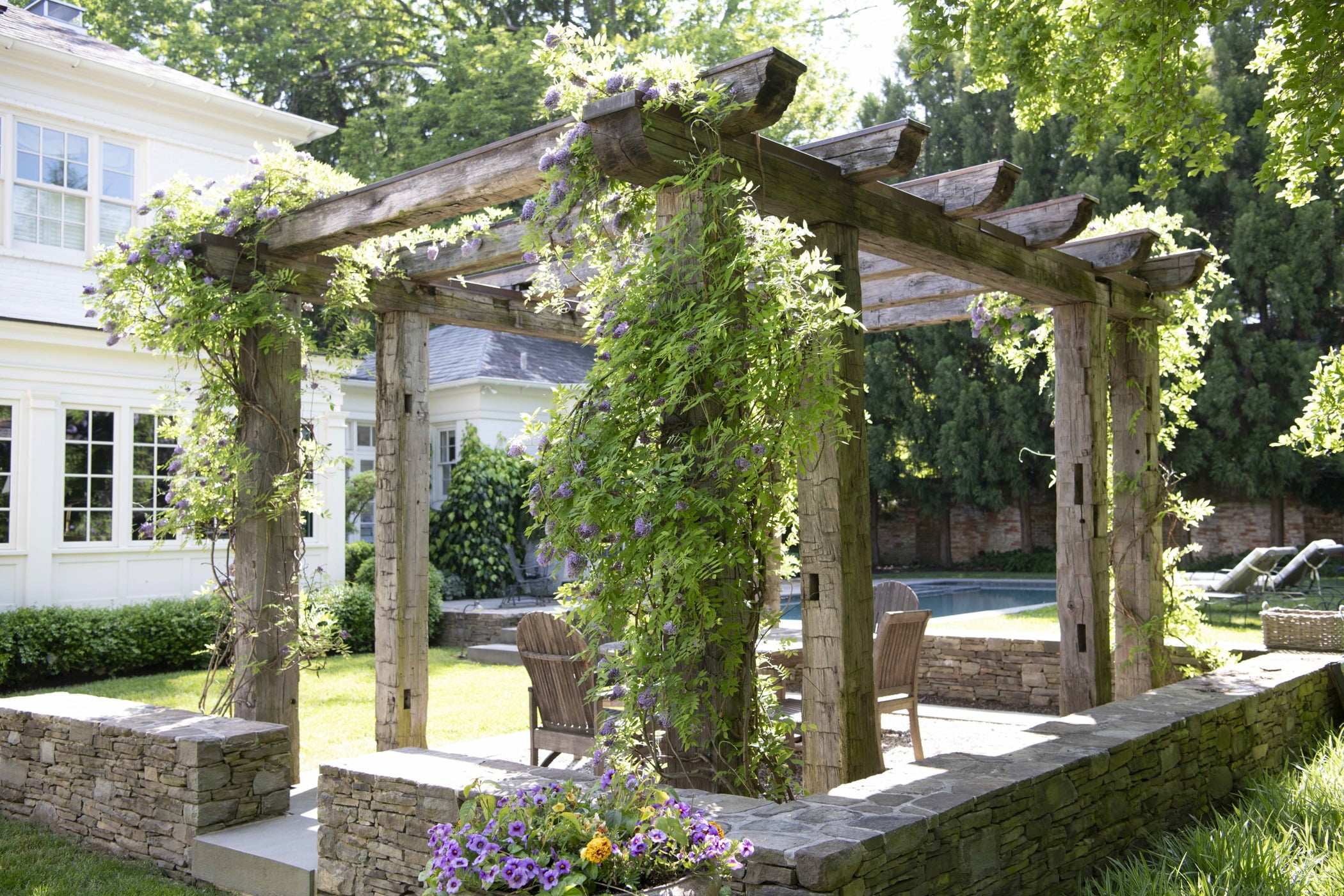 Ivy-covered wooden pergola and outdoor seating and dining area