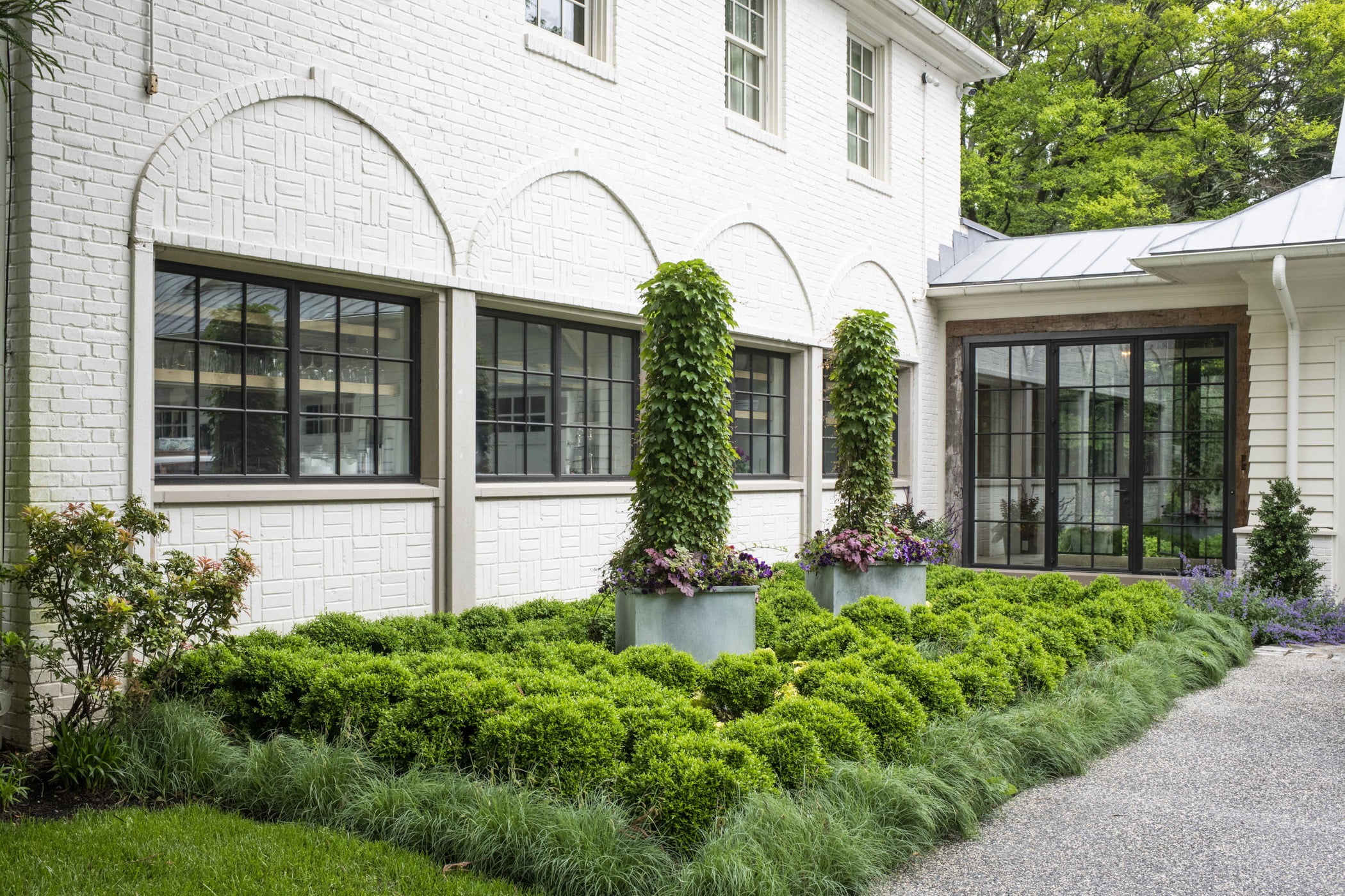 Backyard shrubbery and bush garden