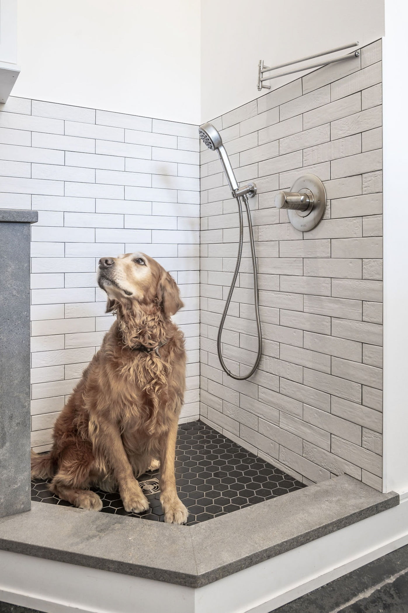 Remodeled mudroom, dog in doggy shower