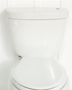 Kohler Touchless Toilet Flushing